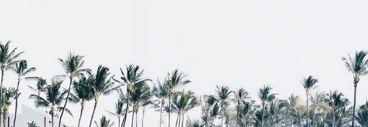 The Cult-Favorite Scent That Captures the Essence of the Tropics