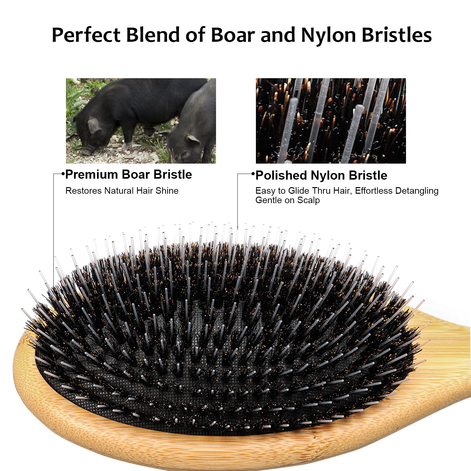 Eagle Fortress Effortless Bamboo Detangler Hair Brush