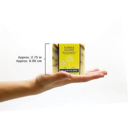 Plantlife Cassia Clove Bar Soap - 4 oz