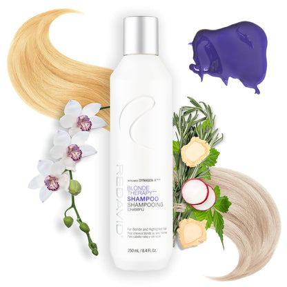 Redavid Blonde Therapy Daily Shampoo for Blonde and Highlighted Hair with Cymbidium Orchid and Hemp Seed Oil - Daily Toning, Clinical Repair, and Amplified Shine (250ml)
