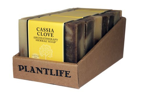 Plantlife Cassia Clove Bar Soap - Moisturizing and Soothing Soap for Your Skin - Hand Crafted Using Plant-Based Ingredients - Made in California 4oz Bar