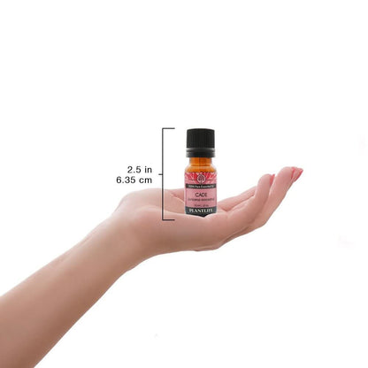 Plantlife Essential Oil Singles - Straight from The Plant 100% Pure Therapeutic Grade 10 ml