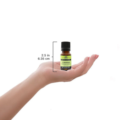 Plantlife Essential Oil Singles - Straight from The Plant 100% Pure Therapeutic Grade 10 ml