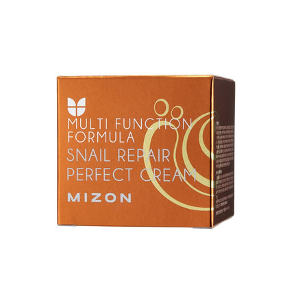 MIZON Snail Repair Perfect Cream, (1.69 fl oz)