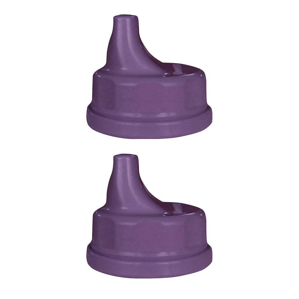 Lifefactory Glass Baby Bottle 9oz and 2 Transitioning Sippy Caps (Grape)