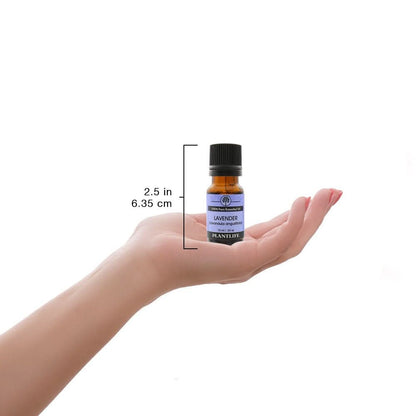 Plantlife Essential Oil Singles - Straight from The Plant 100% Pure Therapeutic Grade 10 ml