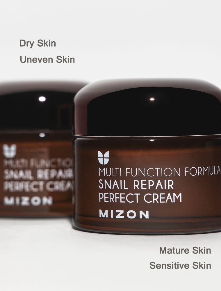 MIZON Snail Repair Perfect Cream, (1.69 fl oz)