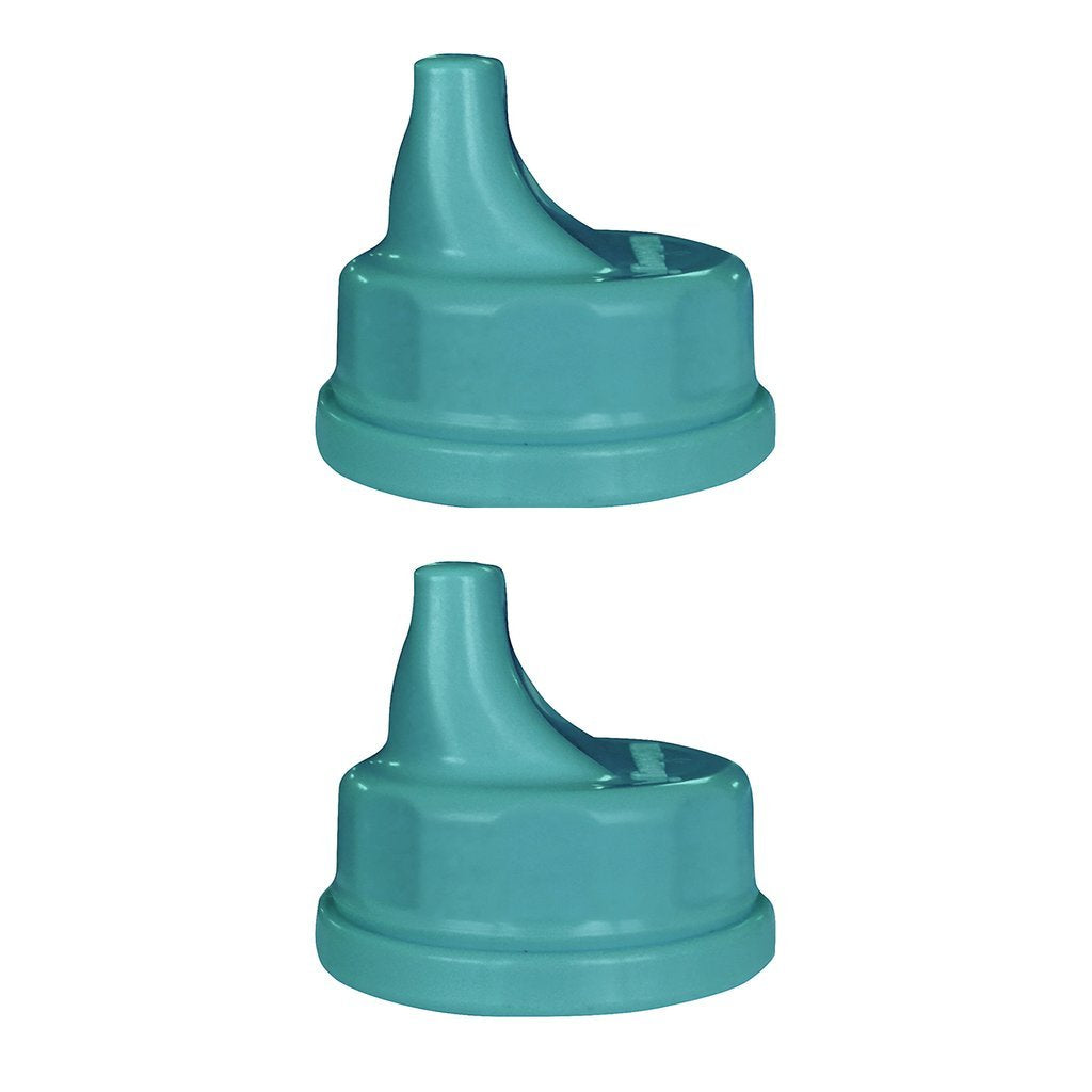 Lifefactory Glass Baby Bottle 9oz & 2 Transitioning Sippy Caps (Kale)