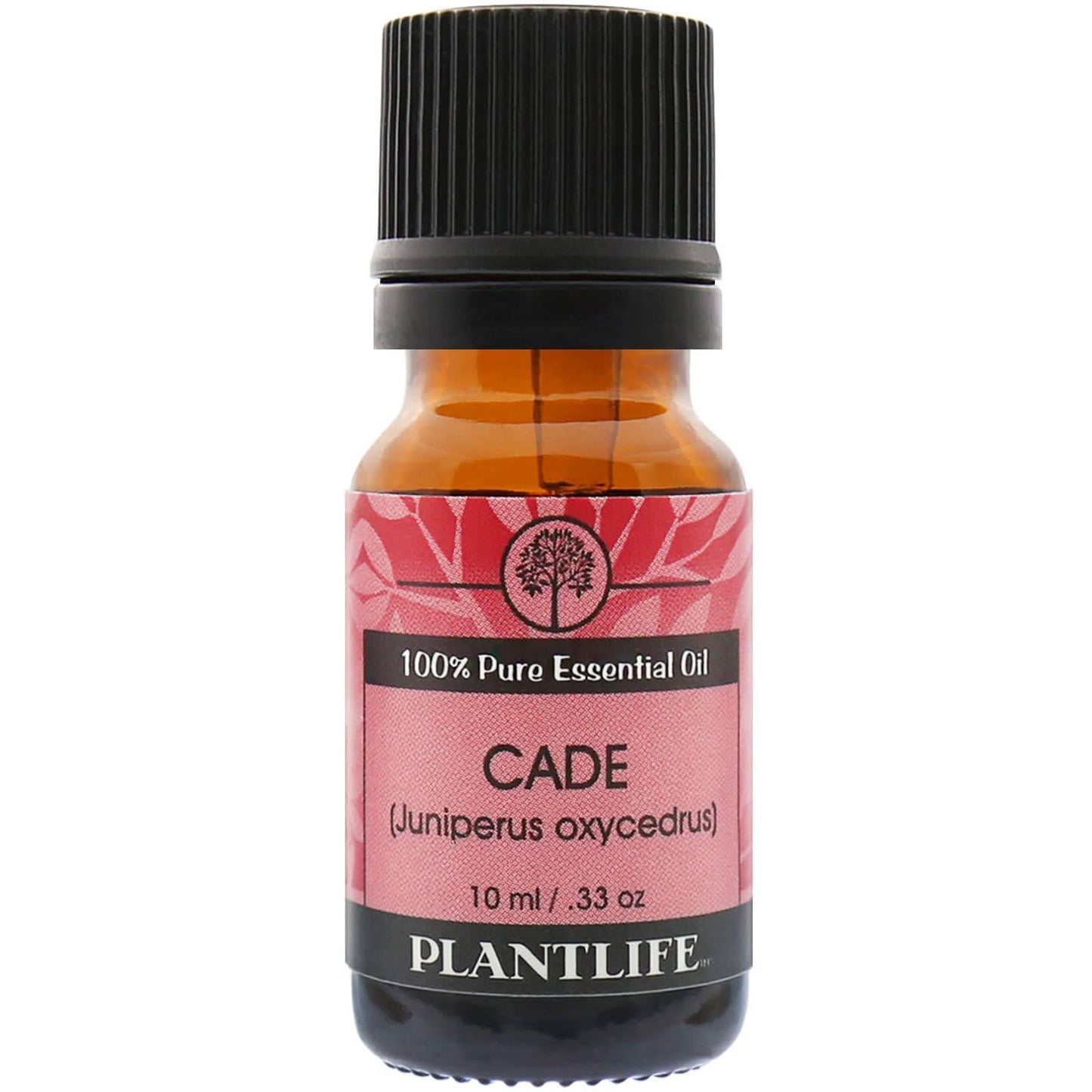 Plantlife Essential Oil Singles - Straight from The Plant 100% Pure Therapeutic Grade 10 ml