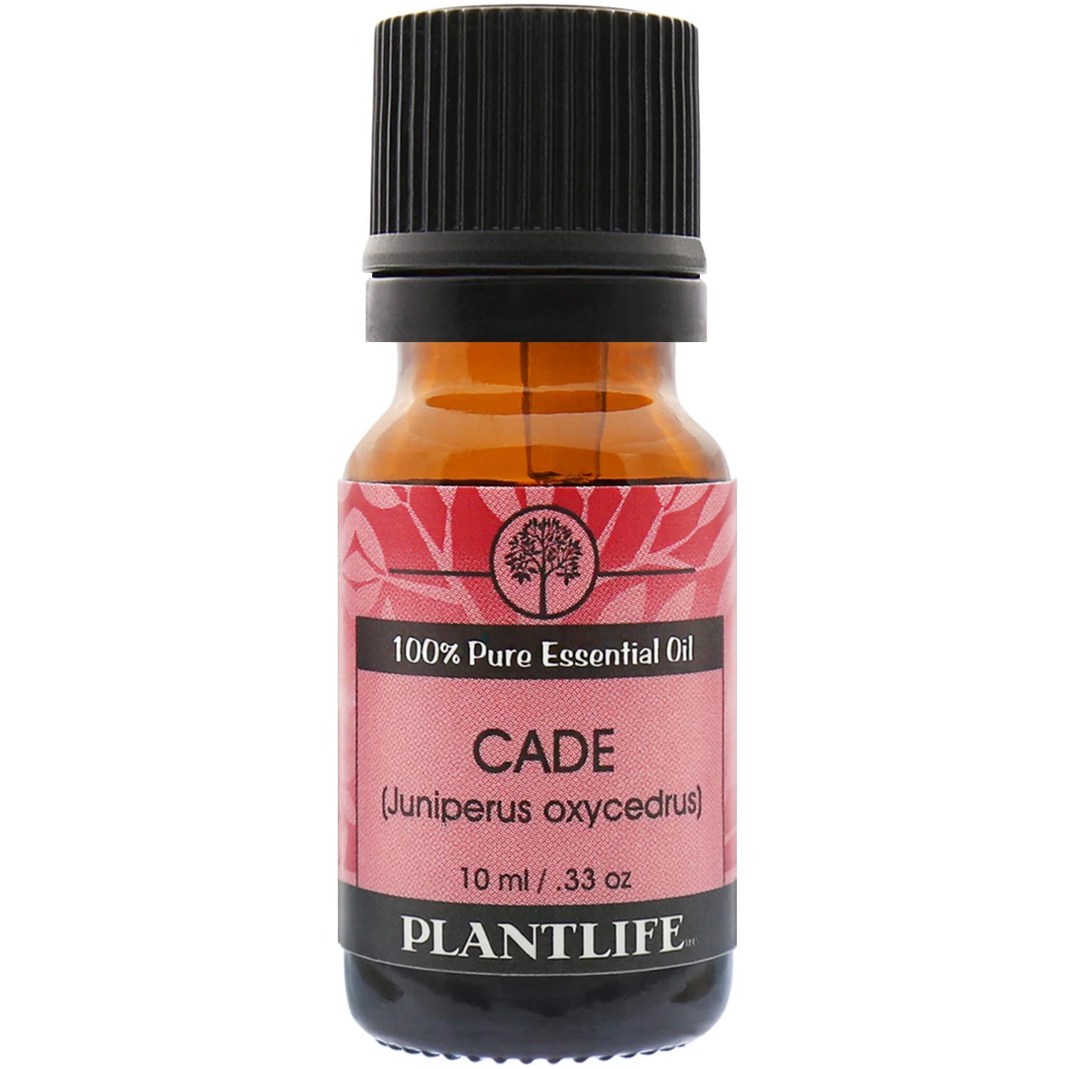 Plantlife Essential Oil Singles - Straight from The Plant 100% Pure Therapeutic Grade - No Additives or Fillers - 10 ml