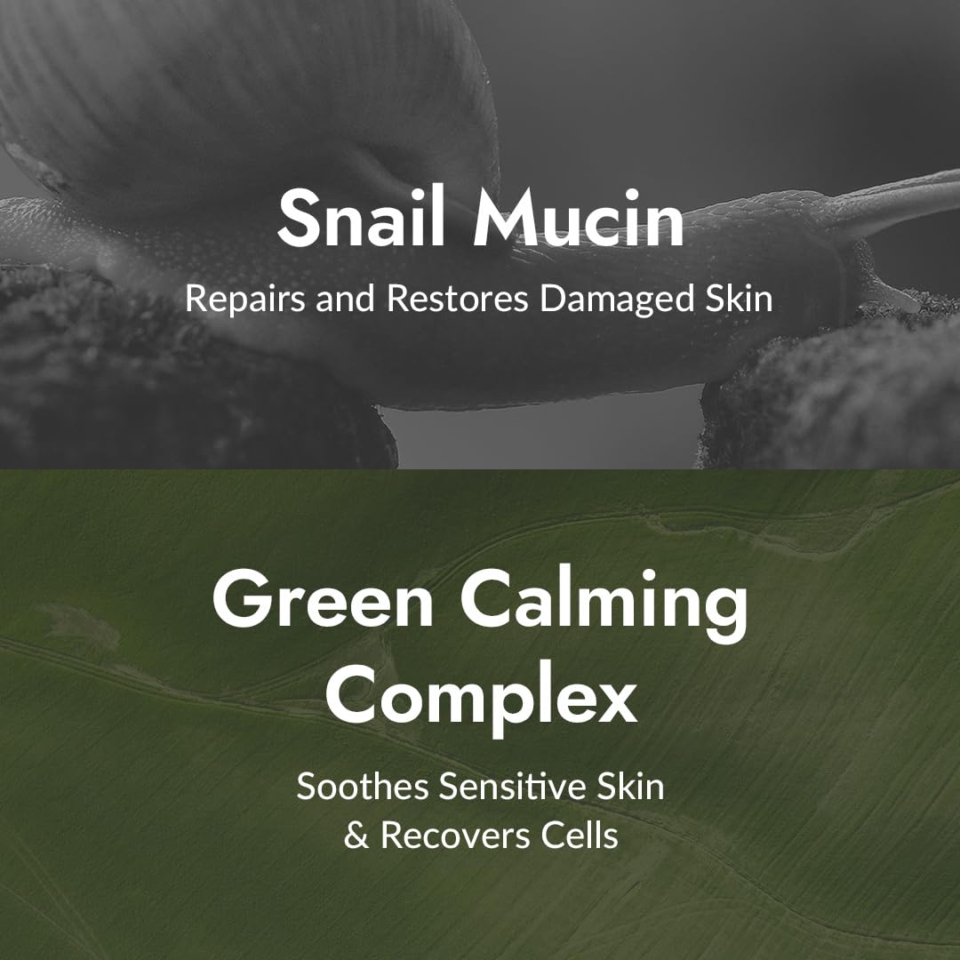 MIZON All-in-One Snail Repair Cream – Korean Face Moisturizer with Snail Mucin & 12 Natural Extracts – Hydrating Nourishing Cream for Fine Lines, Wrinkles & Blemish Care (2.53 Fl Oz, Pack of 2)