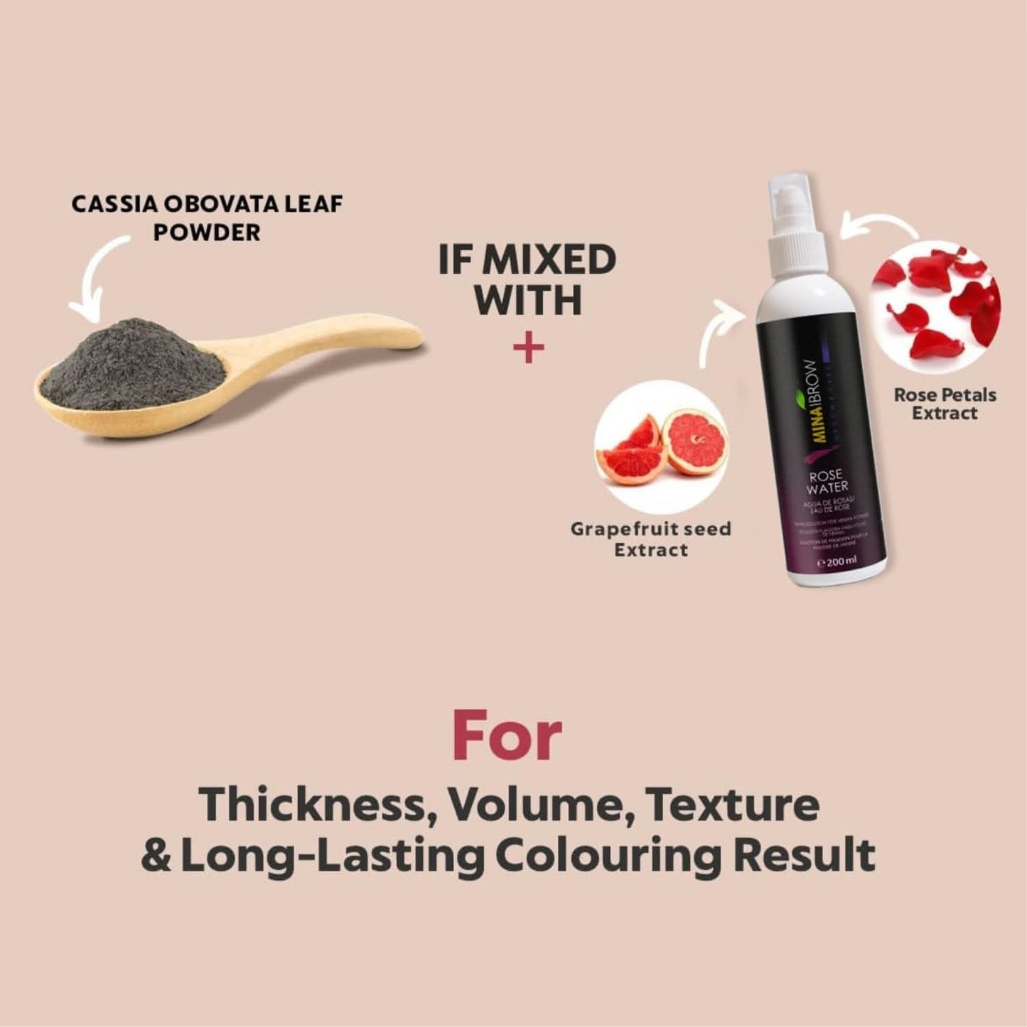 Mina Ibrow Henna Regular Brow Tint Kit - Dark Brown