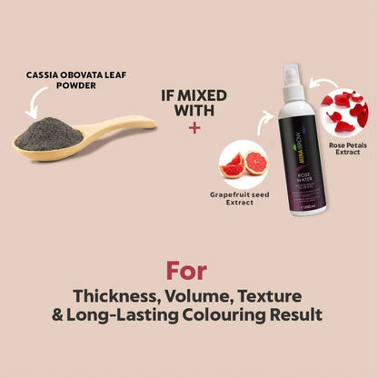 Mina Ibrow Henna Regular Brow Tint Kit