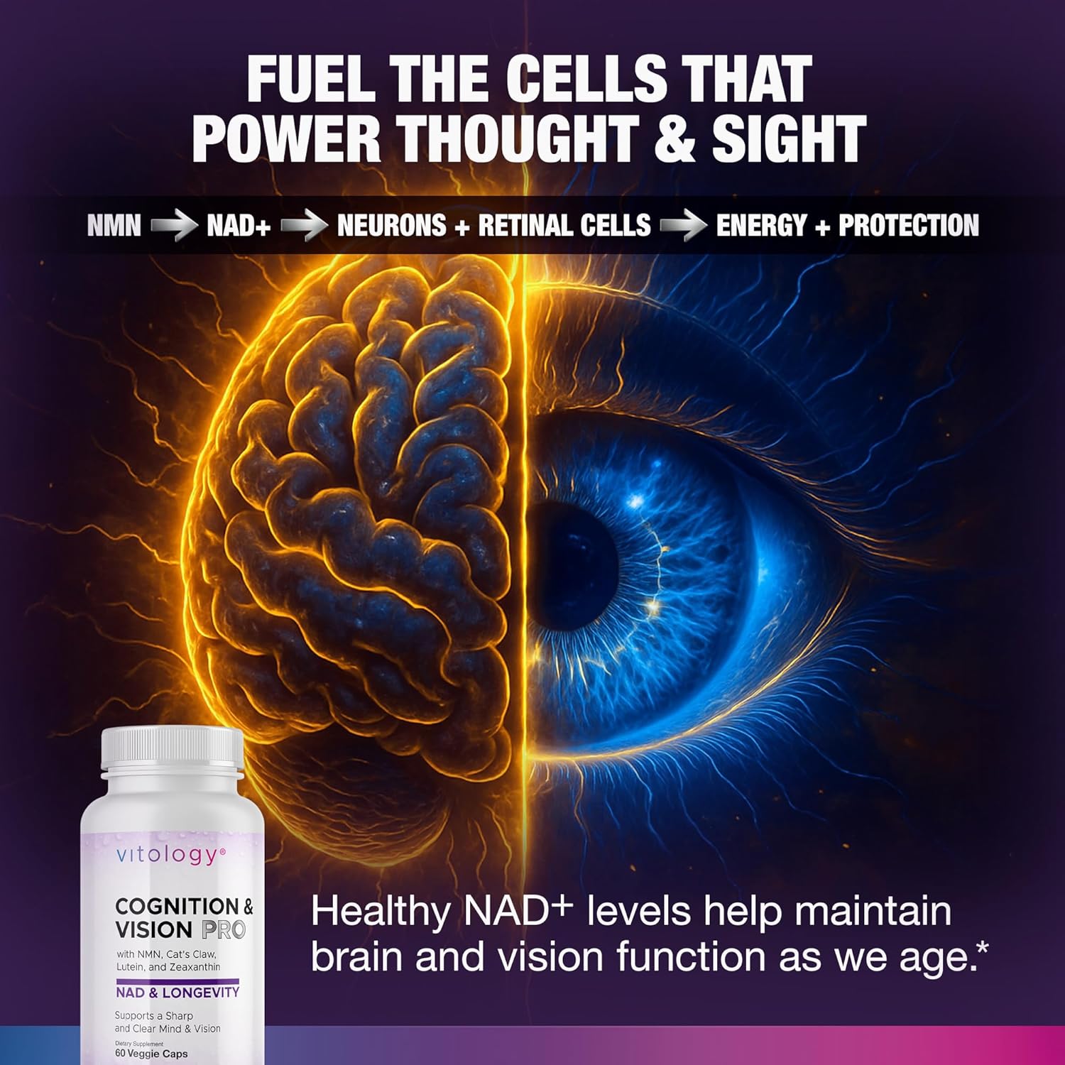 NAD+ Longevity: Cognition & Vision Support 60 Veggie Capsules