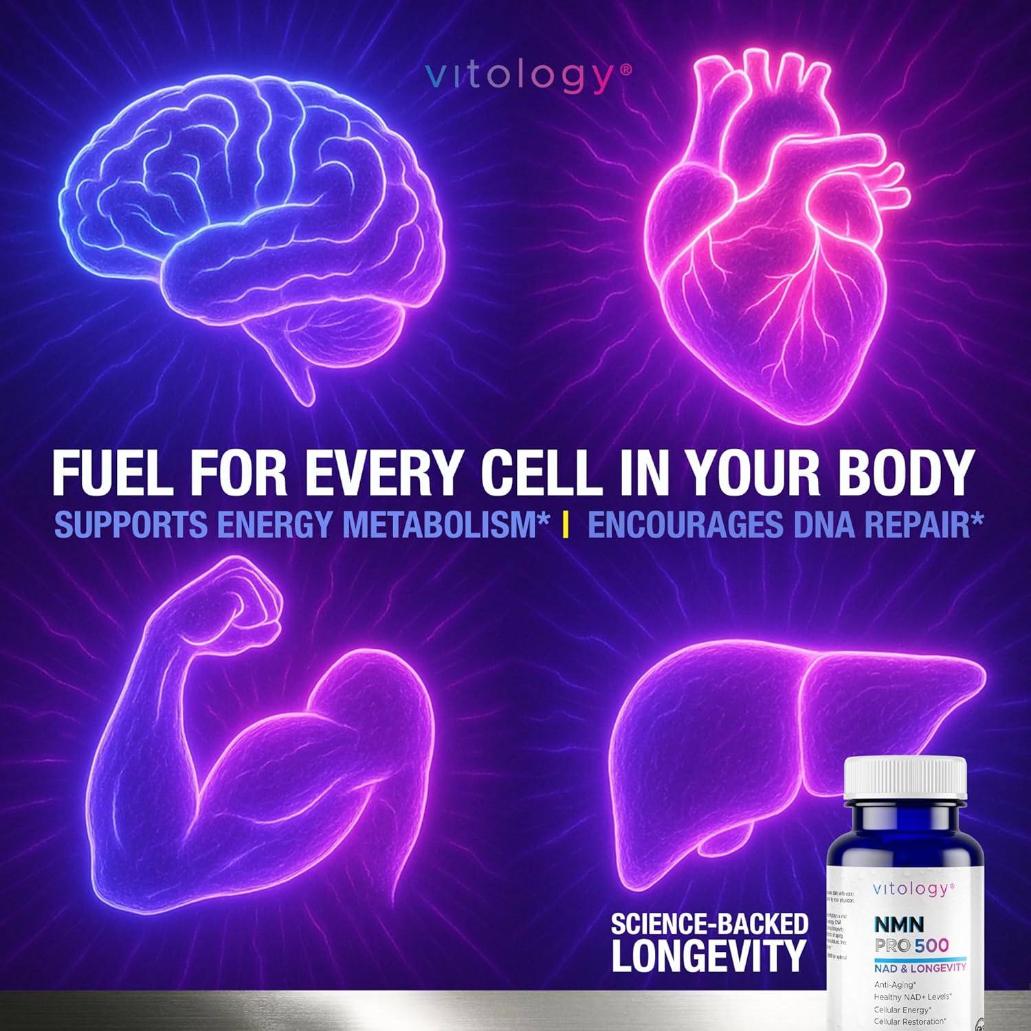 NMN 500 Pro NAD & Longevity – 60 Capsules