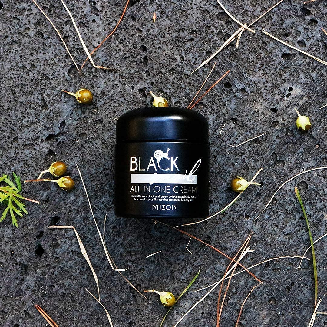 MIZON Black Snail, All In One Cream, 2.53 fl oz (75 ml)