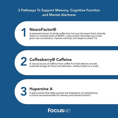 Scimera MD® Focus MD Brain Supplement with Nootropic Organic Coffeeberry, Huperzine A for Memory, Focus, and Energy, 30 CT