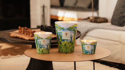 Baobab Collection Yarani Sacred Trees Max 16 Candle