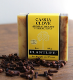 Plantlife Aromatherapy Herbal Soap Cassia Clove 4 oz