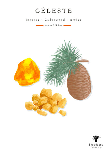 Baobab Collection Celeste Candle