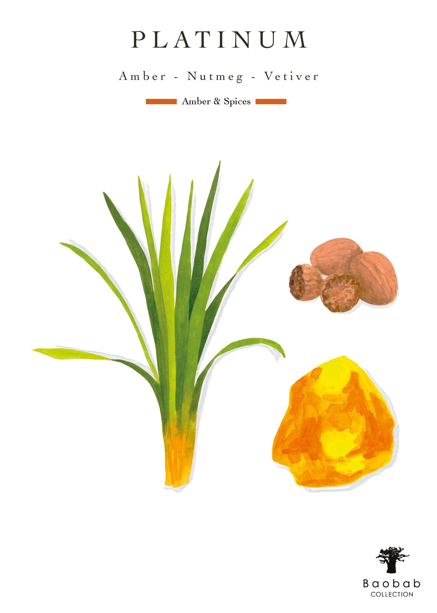 Baobab Collection Platinum Candle
