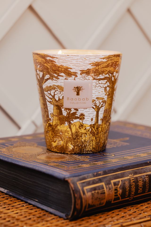 Baobab Collection Bounkani Sacred Trees 5-Wick Max 24 Candle