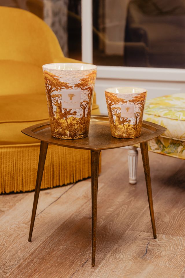 Baobab Collection Bounkani Sacred Trees 5-Wick Max 24 Candle