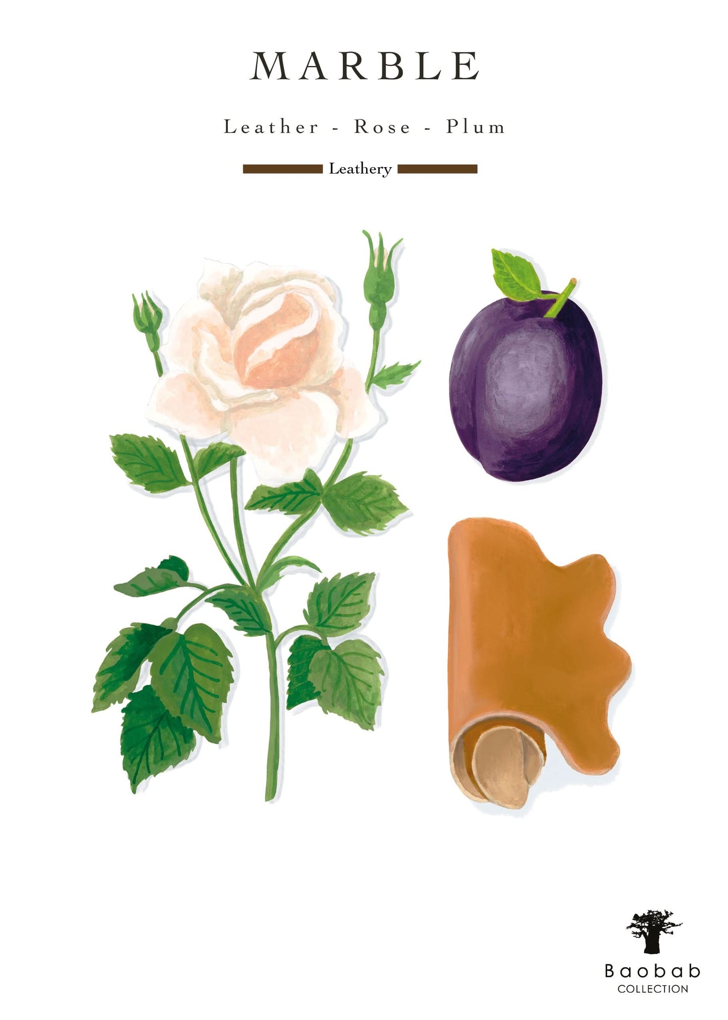 Baobab Collection Stones Marble Fragrance Diffuser 500ml