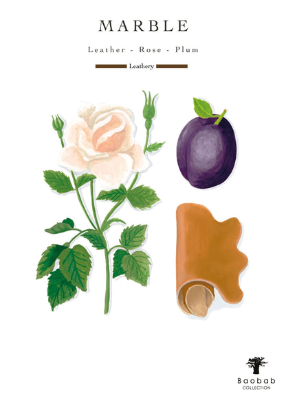 Baobab Collection Stones Marble Fragrance Diffuser 500ml