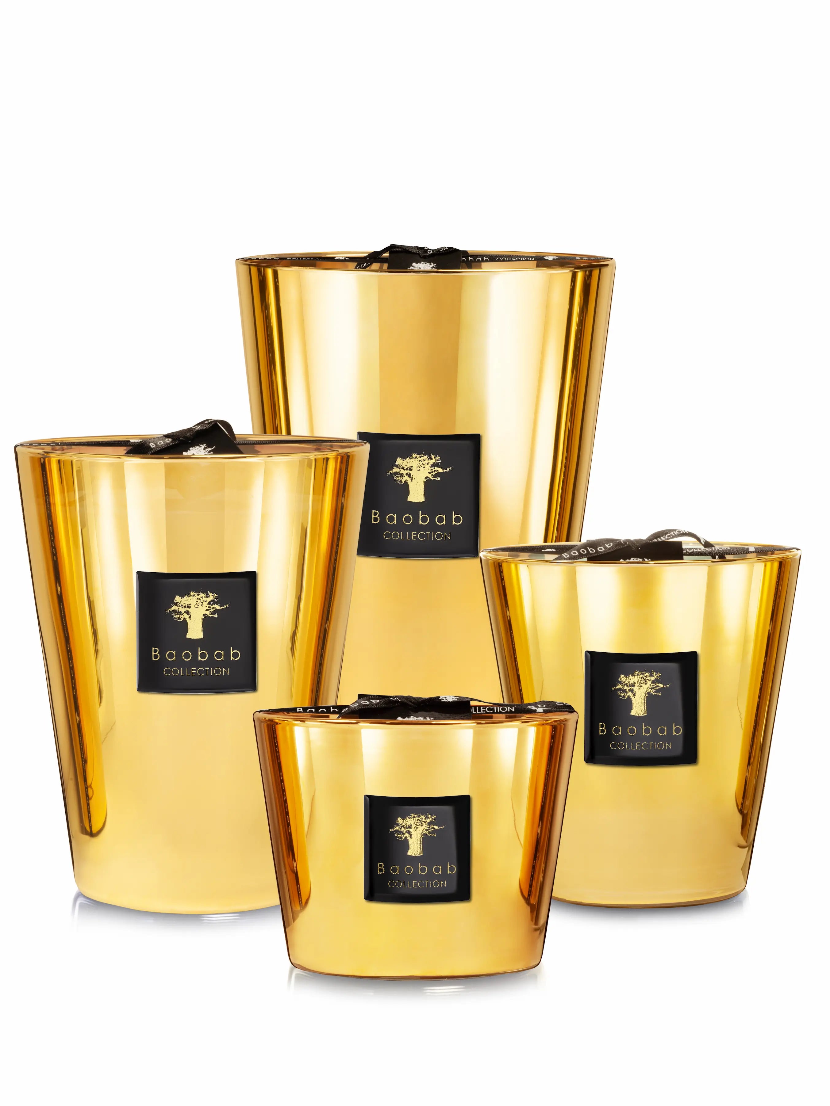 Baobab Collection Aurum Max 10 Candle