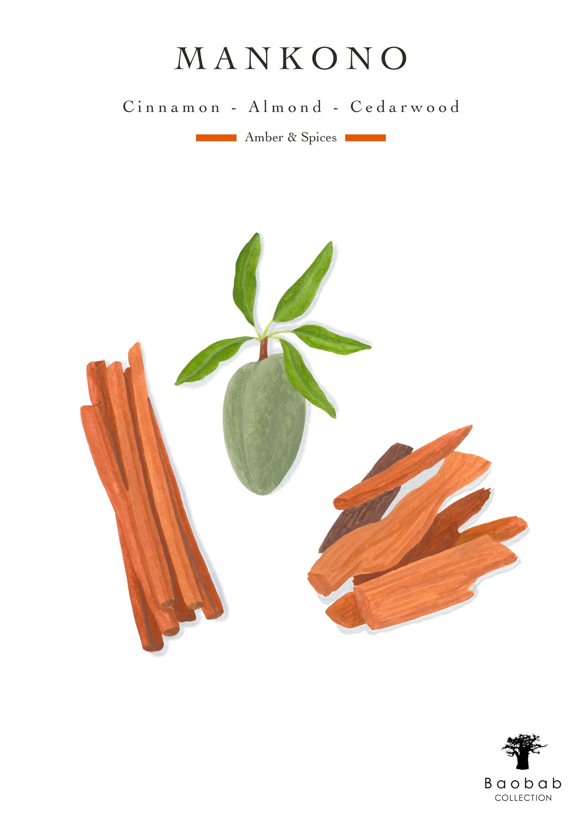 Baobab Collection Sacred Trees Mankono 7-Wick Max 35 Candle, 10.35 kg ...