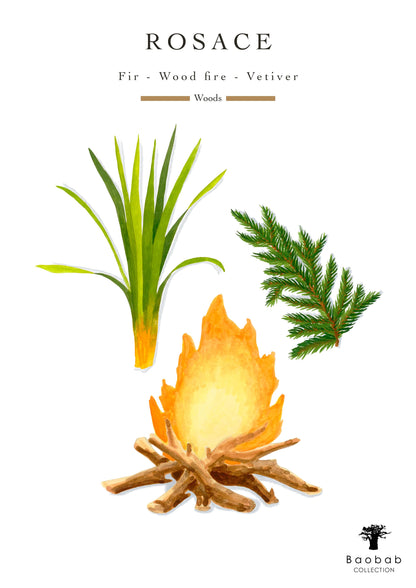 Baobab Collection Rosace Max 10 Candle