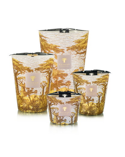 Baobab Collection Bounkani Sacred Trees Candle