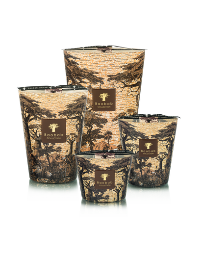 Baobab Collection Mankono Sacred Trees Candle