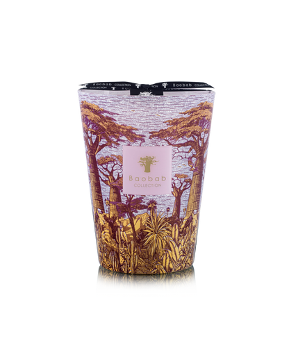 Baobab Collection Massasso Sacred Trees Max 24 Candle