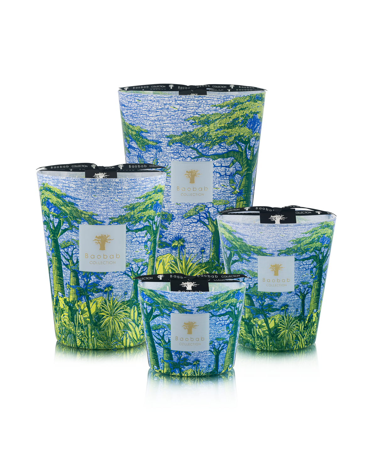 Baobab Collection Yarani Sacred Trees Max 16 Candle