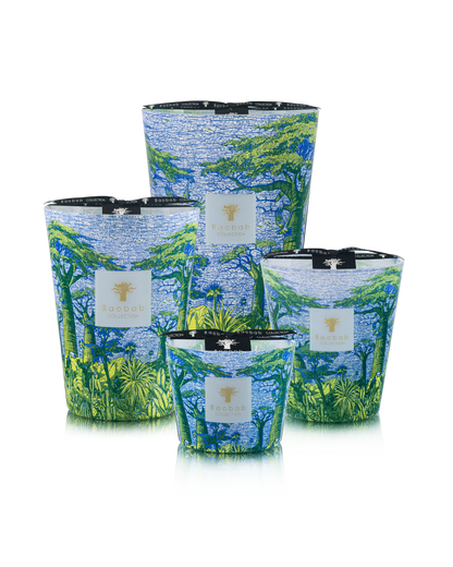 Baobab Collection Yarani Sacred Trees Max 16 Candle