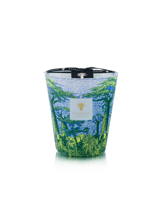 Baobab Yarani Sacred Trees Max 16 Candle