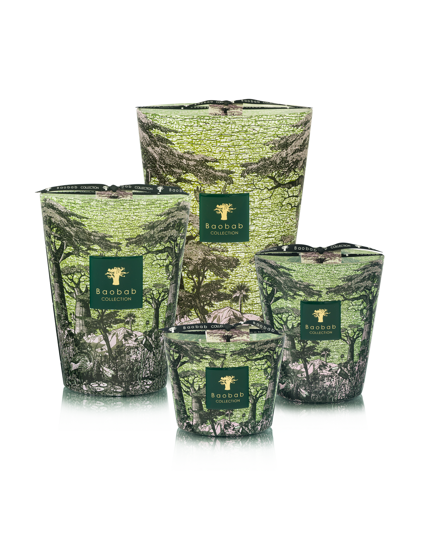 Baobab Collection Touba Sacred Trees Candle