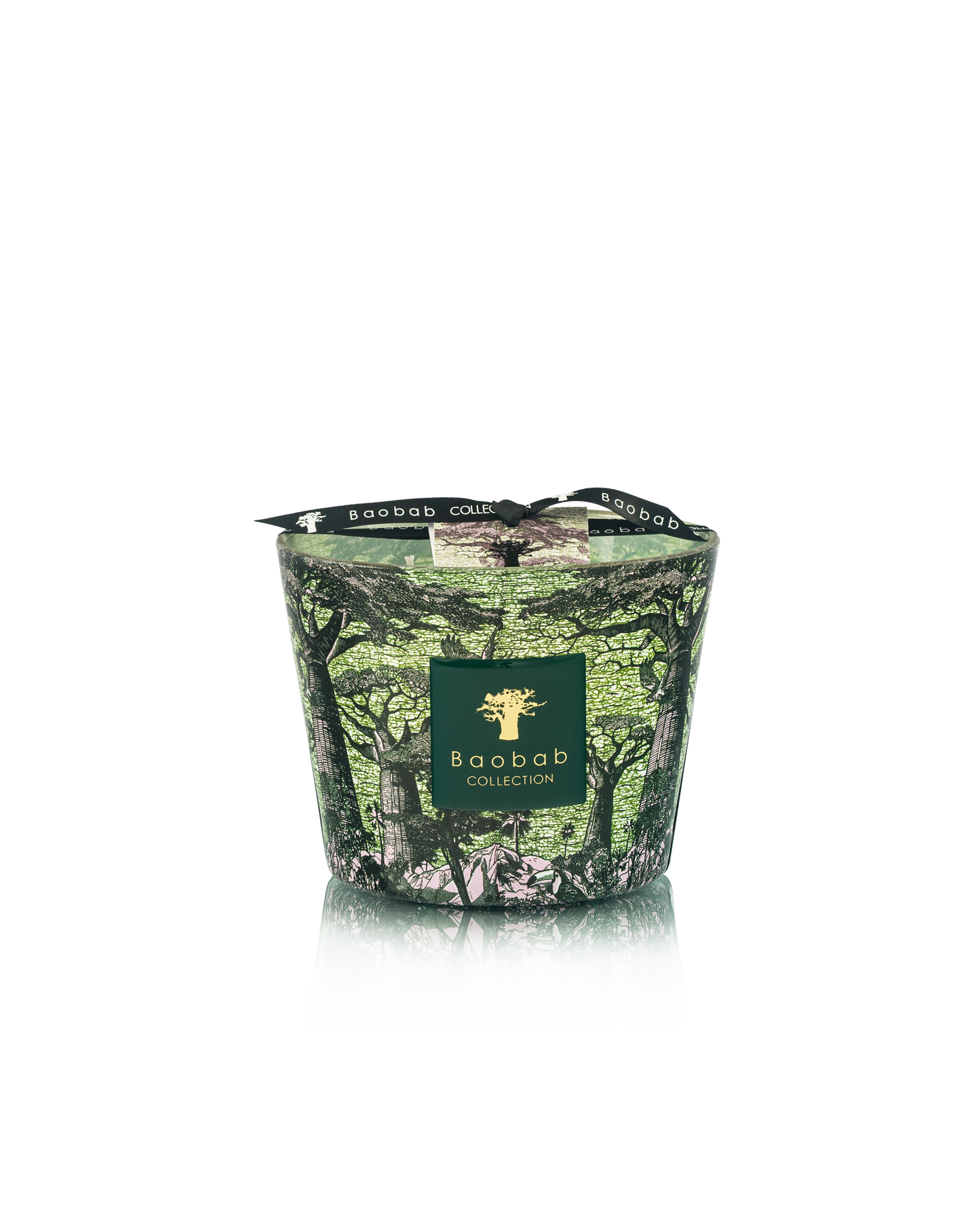 Baobab Collection Touba Sacred Trees Candle