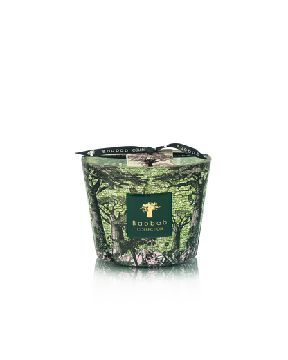 Baobab Collection Touba Sacred Trees Candle