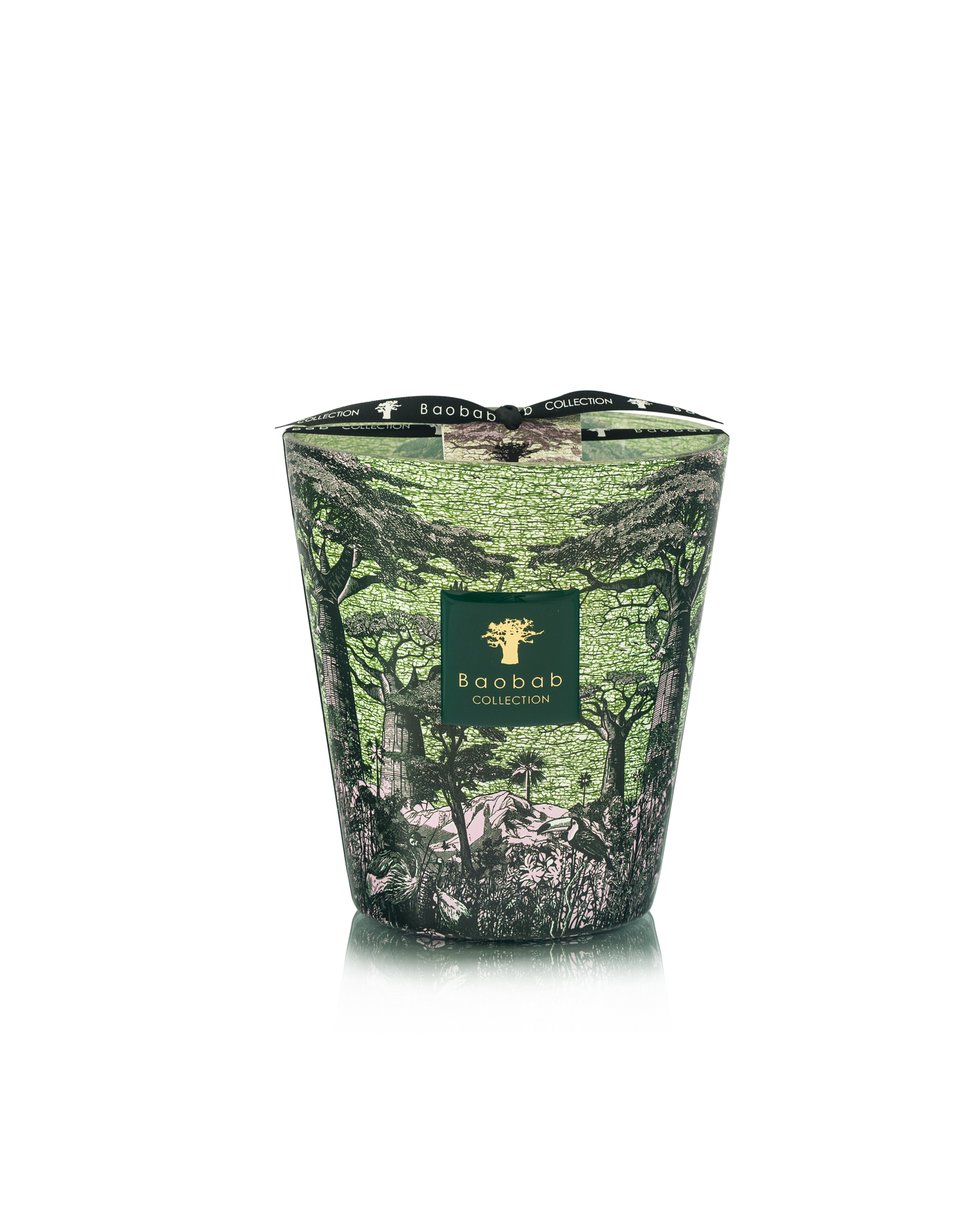 Baobab Collection Touba Sacred Trees Candle