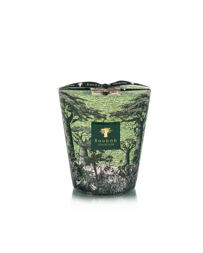 Baobab Collection Touba Sacred Trees Candle