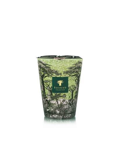 Baobab Collection Touba Sacred Trees Candle