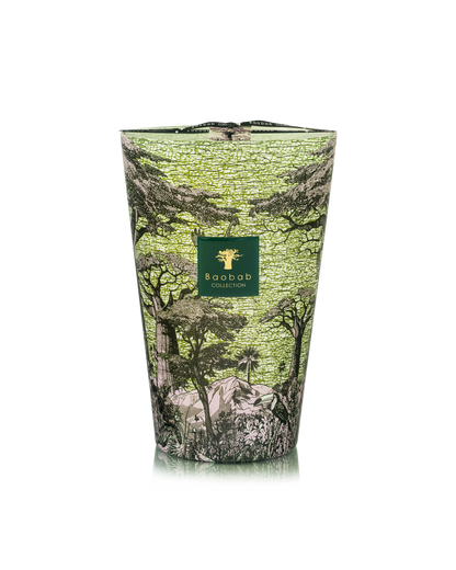Baobab Collection Touba Sacred Trees Candle