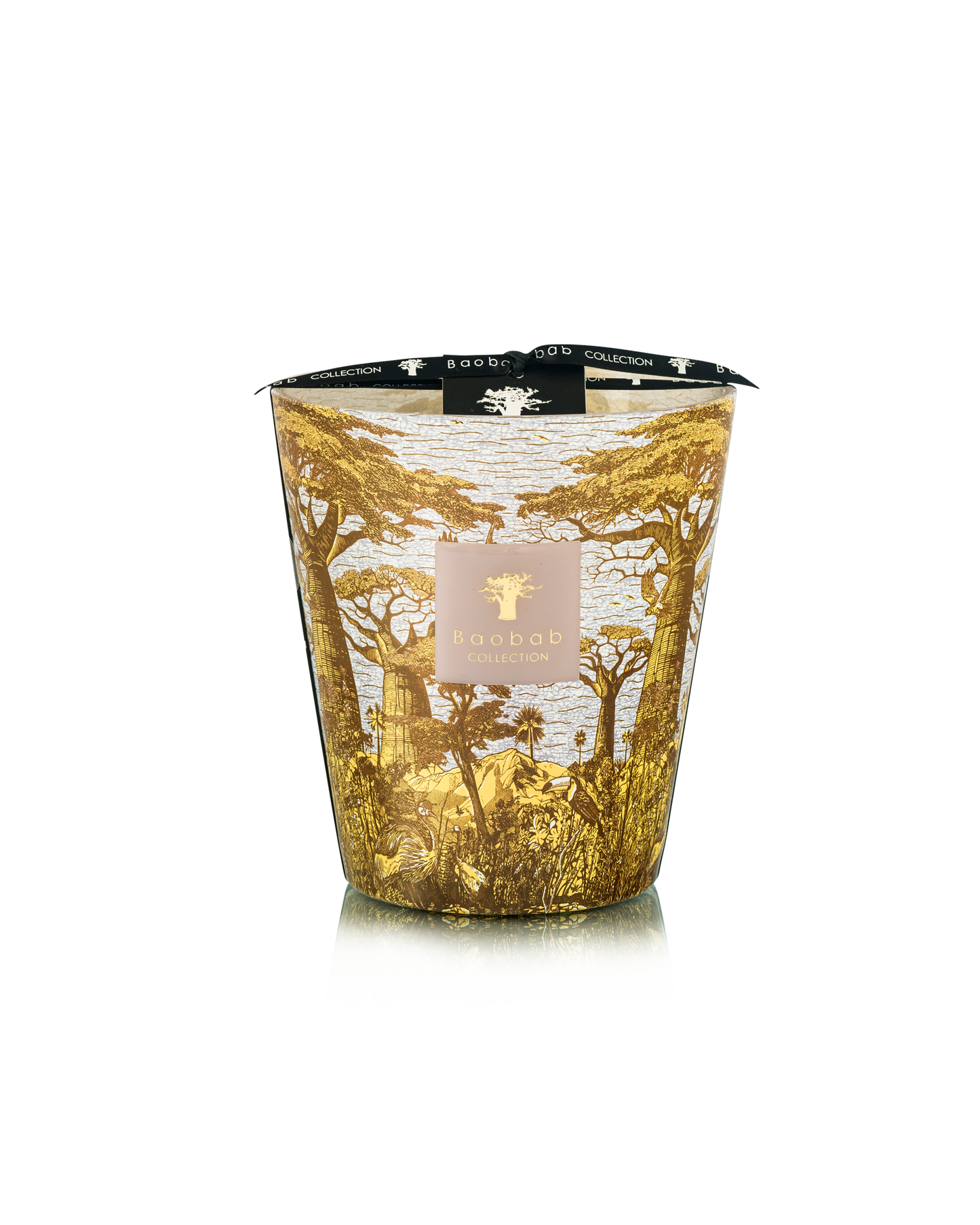 Baobab Collection Bounkani Sacred Trees Candle