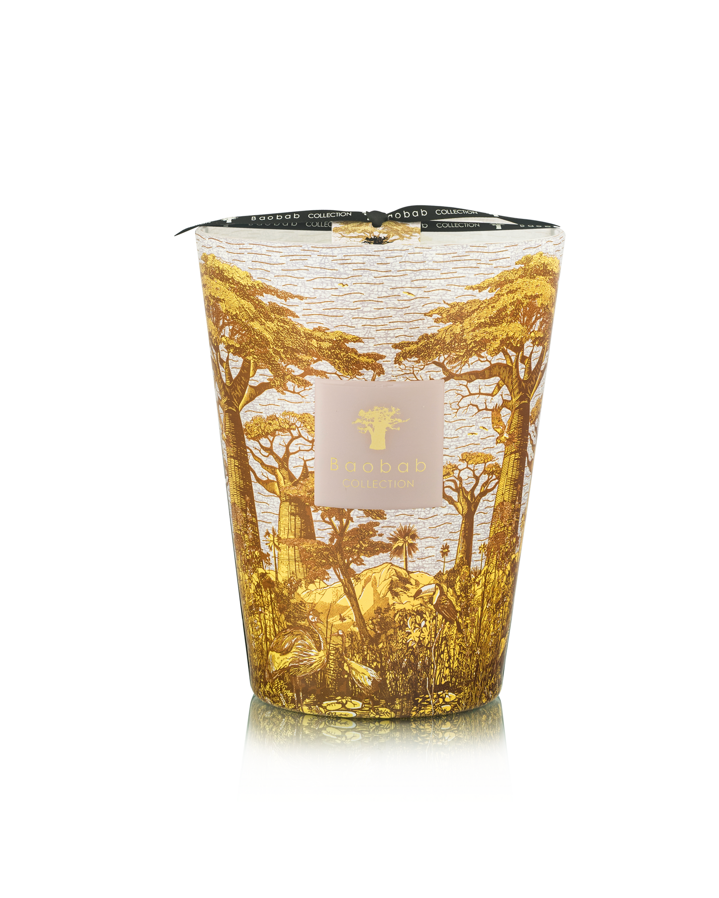 Baobab Collection Bounkani Sacred Trees Candle