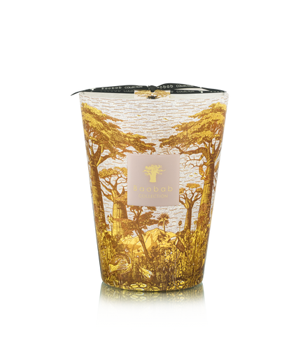 Baobab Collection Bounkani Sacred Trees Candle