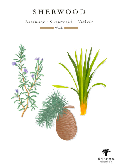 Baobab Collection Sherwood Candle