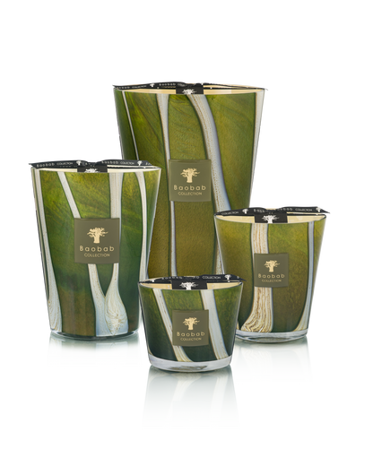 Baobab Collection Sherwood Candle